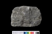 藏品(泥質砂岩)的圖片